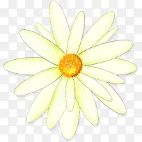春天清明手绘黄色花朵花瓣装饰