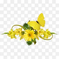 黄色花朵黄色蝴蝶