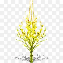 黄色花朵植物装饰
