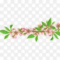 一枝花