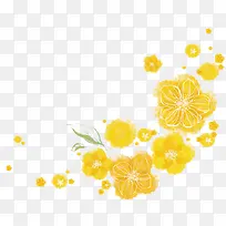 黄色边框花