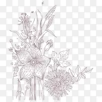 花朵 花卉