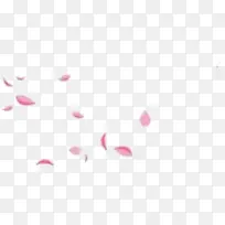 粉红色花瓣漂浮植物素材