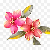 手绘粉红色花朵树叶装饰