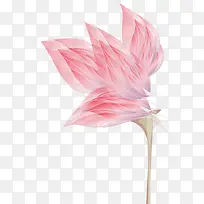 创意合成粉红色的花瓣形状