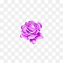 手绘紫色鲜花
