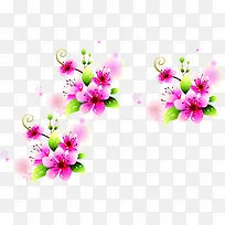 粉色手绘鲜花花朵植物节日