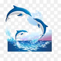 海豚