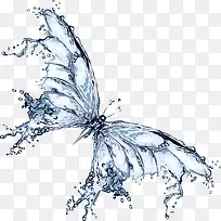 水蝴蝶装饰