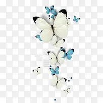 白色蓝色蝴蝶装饰