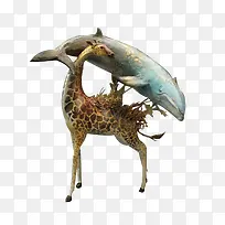 长颈鹿撑着鲨鱼