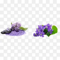 美丽的花