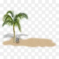 沙滩椰子树海鸥