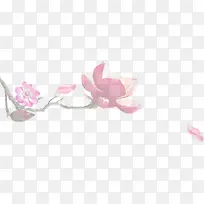 鲜艳盛开花素材