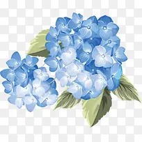 矢量图水彩蓝色花朵