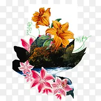 荷花风景