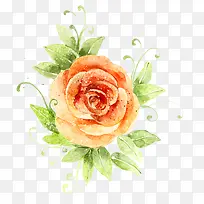 花朵手绘