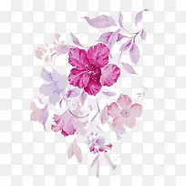 手绘花藤
