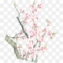 粉色淡雅树木美景桃花