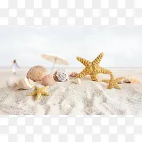 白白的沙滩海星太阳伞