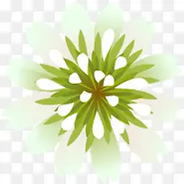 手绘浪漫白色清新小花装饰