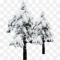 白色圣诞冬日大树