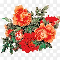 中国风牡丹红色花朵