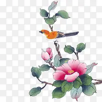 花鸟图