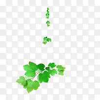 植物