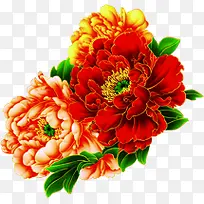 高清中国风花朵装饰