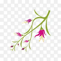 矢量绿色藤蔓花卉装饰