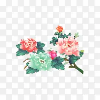 手绘中国风牡丹花朵