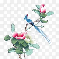 花鸟图