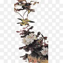 花鸟图