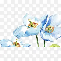 彩色水墨花朵图