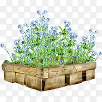 美丽的花