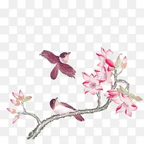 花鸟图