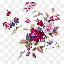 花朵插画