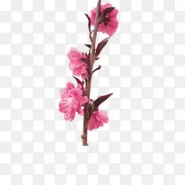 粉色中国风花朵海报装饰