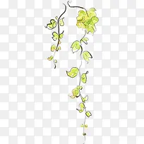 黄绿色手绘夏季藤蔓