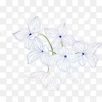 潮流花朵花线