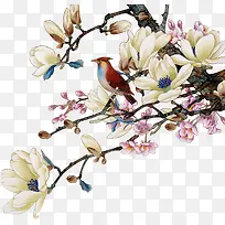 手绘中国风花朵小鸟装饰