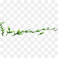 创意植物藤蔓水彩
