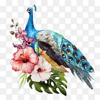 炫彩中国风孔雀花朵叶子