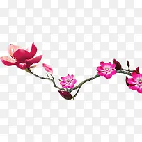 中国风粉色花朵图片