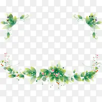 绿色花纹边框