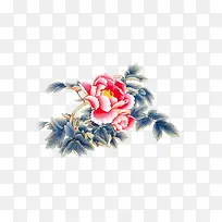 牡丹花 中国风 花朵