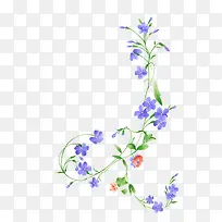 花藤