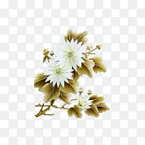 花草