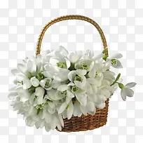 一篮子白花